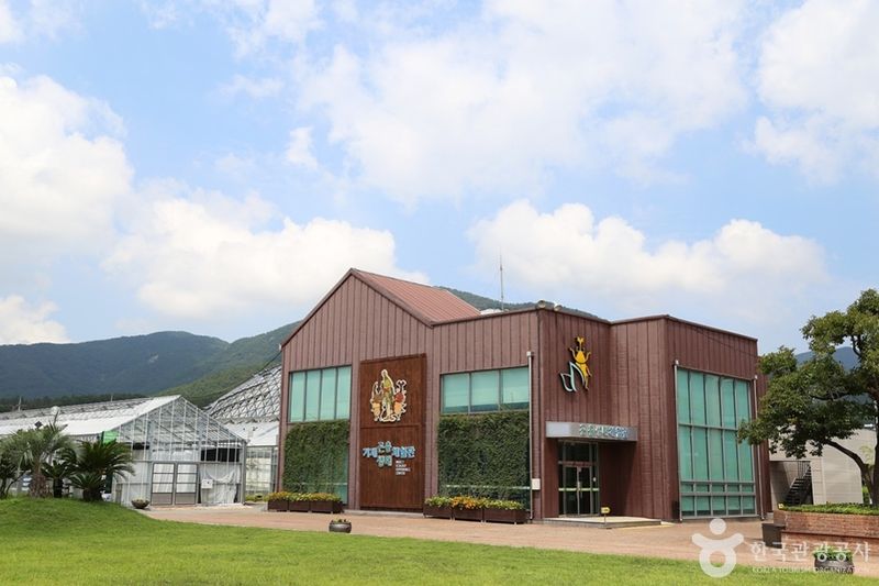 거제곤충생태박물관 / 출처: 한국관광공사