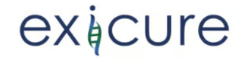 출처=엑시큐어하이트론