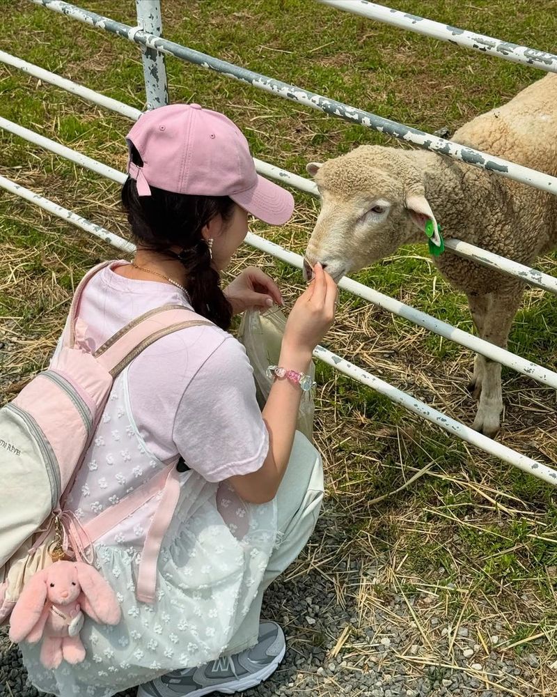 “양띠라 불리는 순간”…윤서령, 부드러운 봄빛 속 힐링→목장 산책의 순수함 / 가수 윤서령 인스타그램