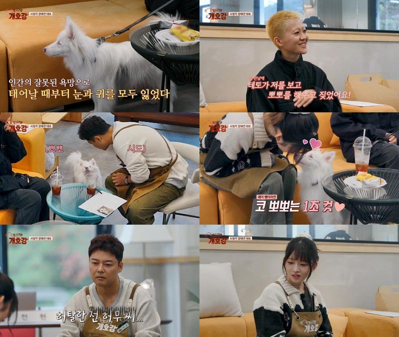 “뽀뽀 거부한 순간”…전현무·아이브 레이, ‘집 나가면 개호강’ 테토 앞 대형 굴욕→의외 선택 / JTBC