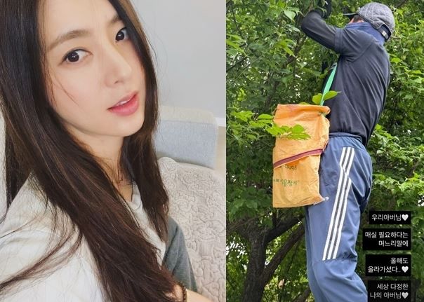 “세상 다정한 아버님”…한채아·차범근, 매실나무 아래 가족의 온기→차기작 기대