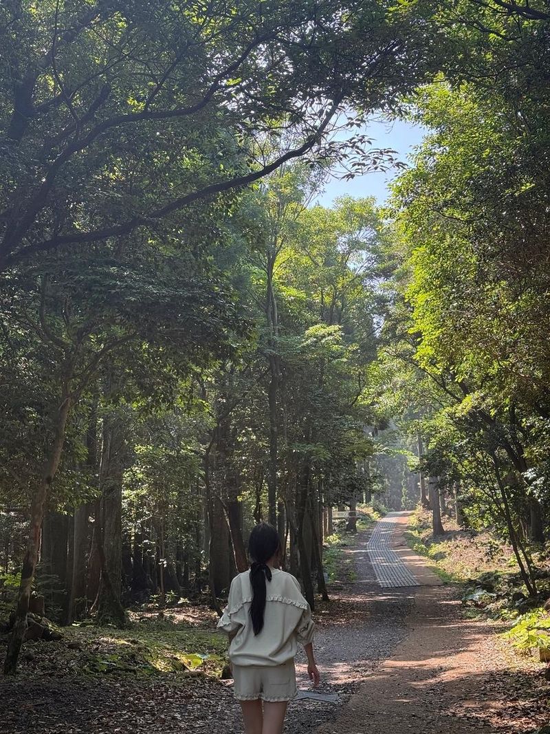 “초록에 스며드는 산책”…문채솔, 한여름 오솔길→평온한 감성 / 걸그룹 시그니처 문채솔 인스타그램