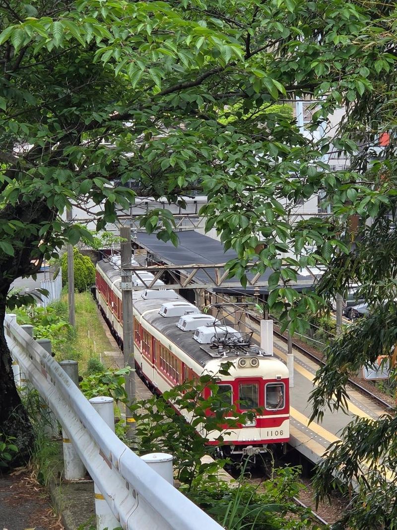 “유리창 너머 흐르는 초여름”…김채원, 녹음 속 정거장→감성 풍경 인증 / 걸그룹 르세라핌 김채원 인스타그램