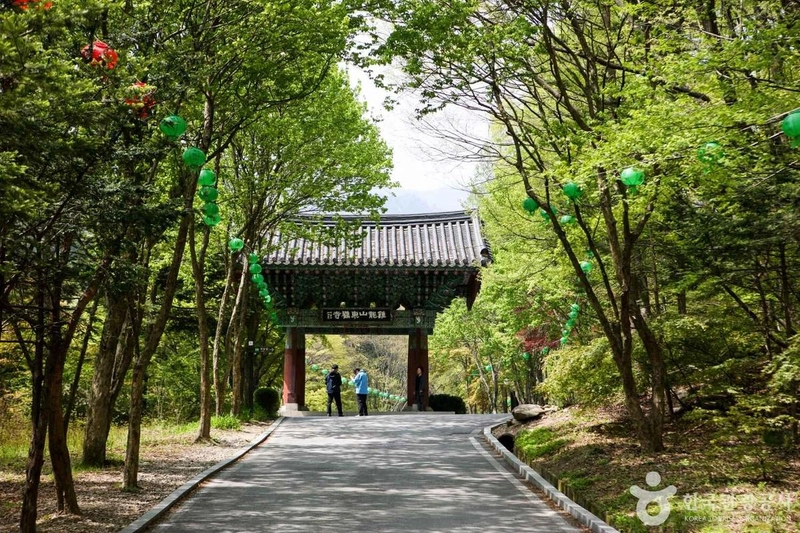 사진 출처 = 포토코리아(한국관광공사) 동학사