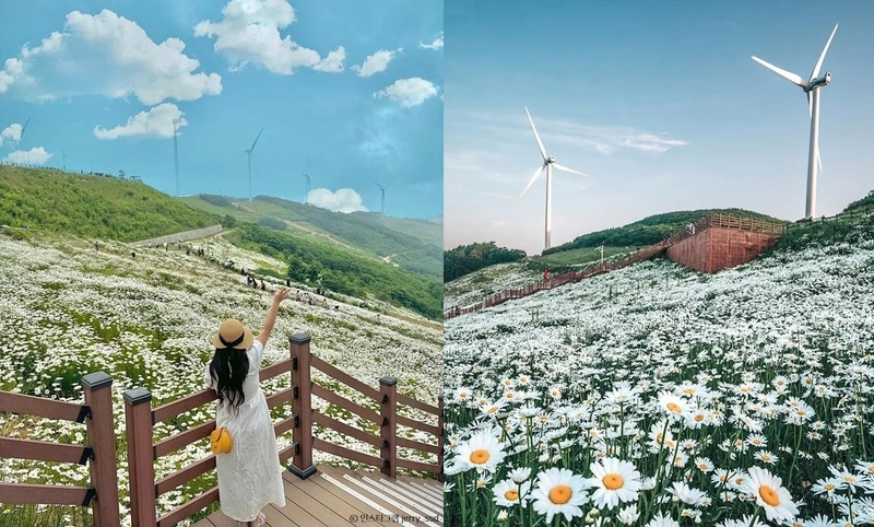출처: 한국관광공사