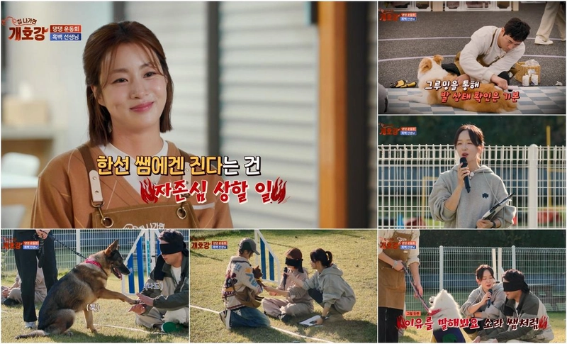 “강소라·조한선, 감각만으로 맞붙는다”…‘집 나가면 개호강’ 손끝 승부→예상 못한 반전 / JTBC