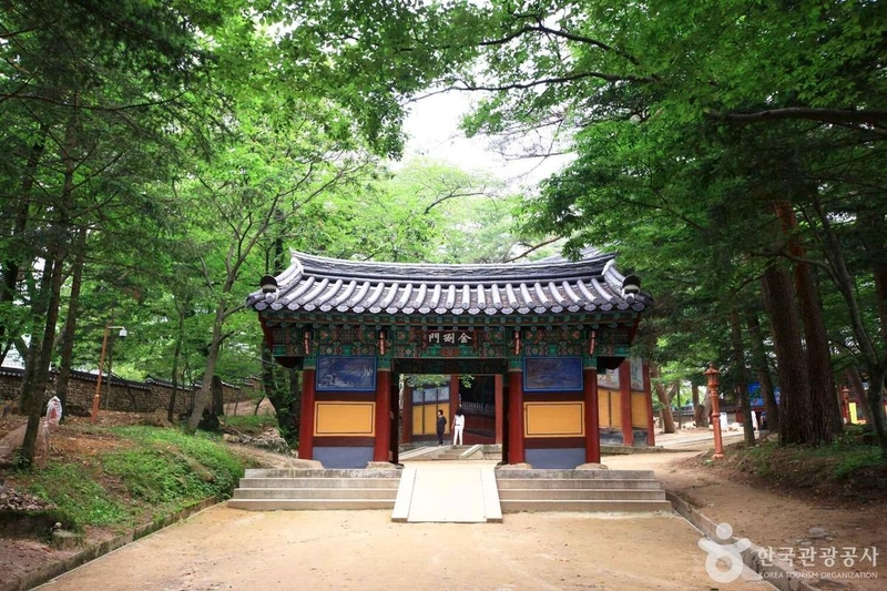 사진 출처 = 포토코리아(한국관광공사) 직지사