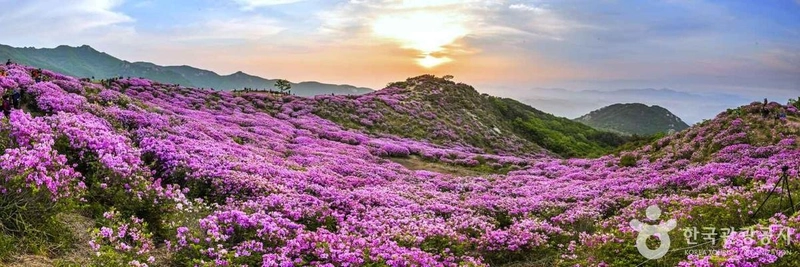 사진 출처 = 포토코리아(한국관광공사) 합천 황매산