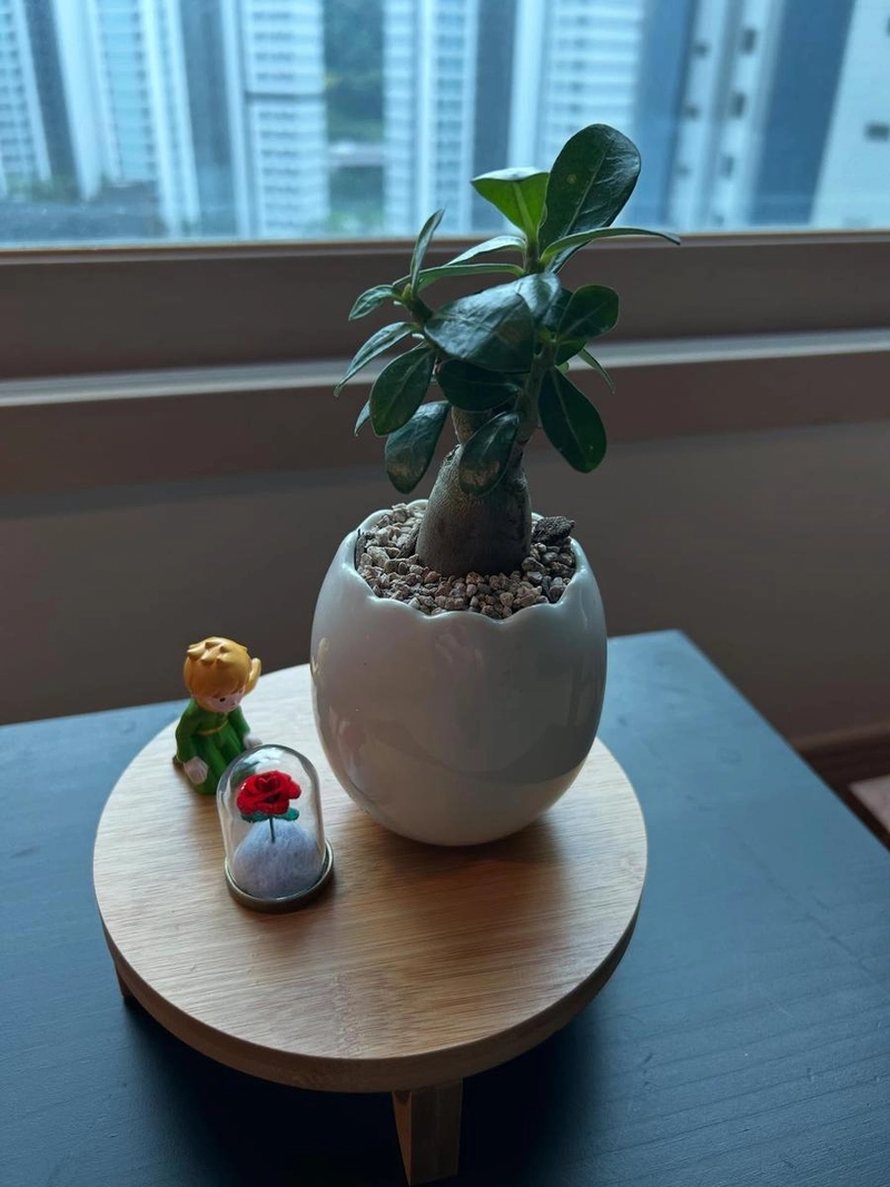 “아직도 꿈을 꾸고 깨고”…한경록, 짙은 사유→작은 평온의 테이블 / 그룹 크라잉넛 한경록 인스타그램