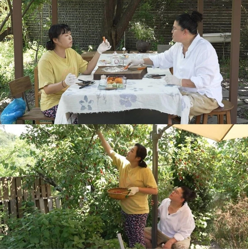 MBC ‘전지적 참견 시점’