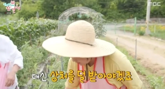 MBC '전지적 참견 시점'