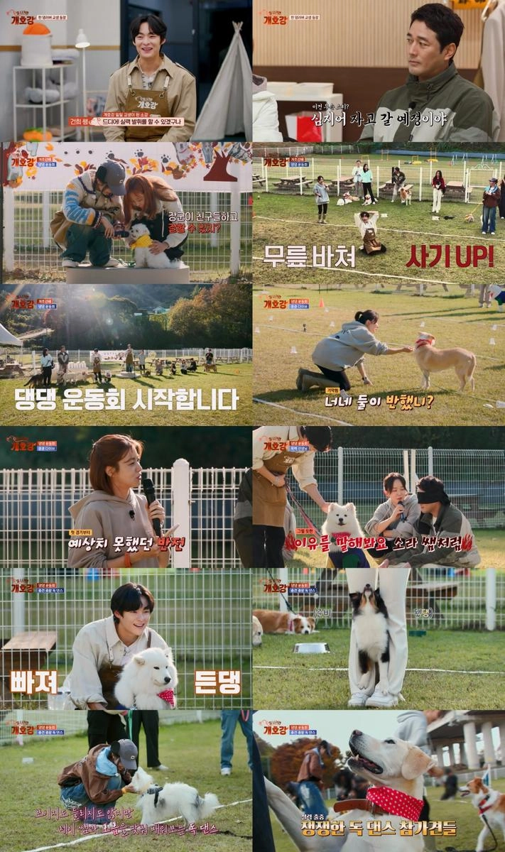 “송건희·남킹, ‘집 나가면 개호강’서 눈물·반전 쏟아진 댕댕 운동회→폭소 속 케미 폭발” / JTBC