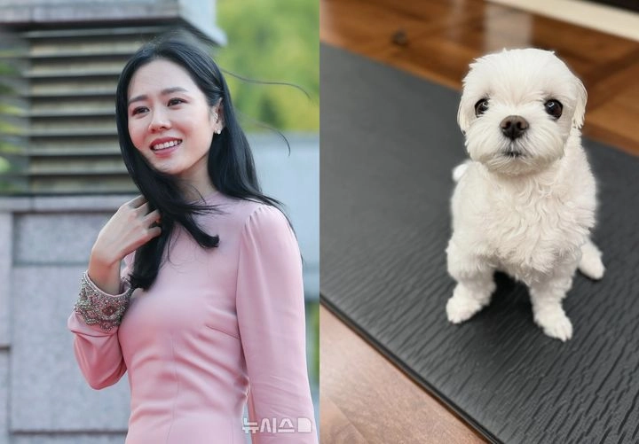 “손예진, 일상 속 웃픈 육아 고백”…반려견·아들 돌보며 새로운 모습→차기작 기대감