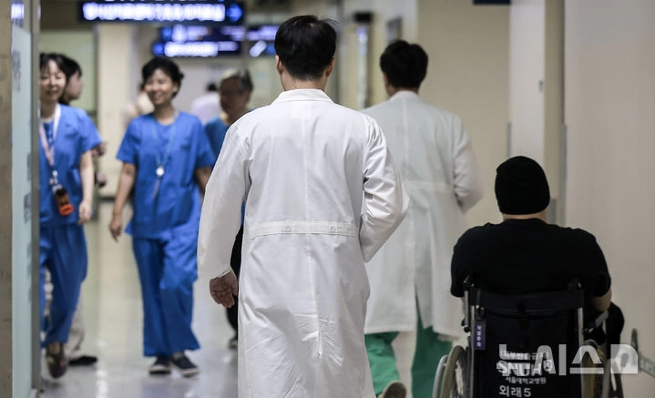 뉴시스