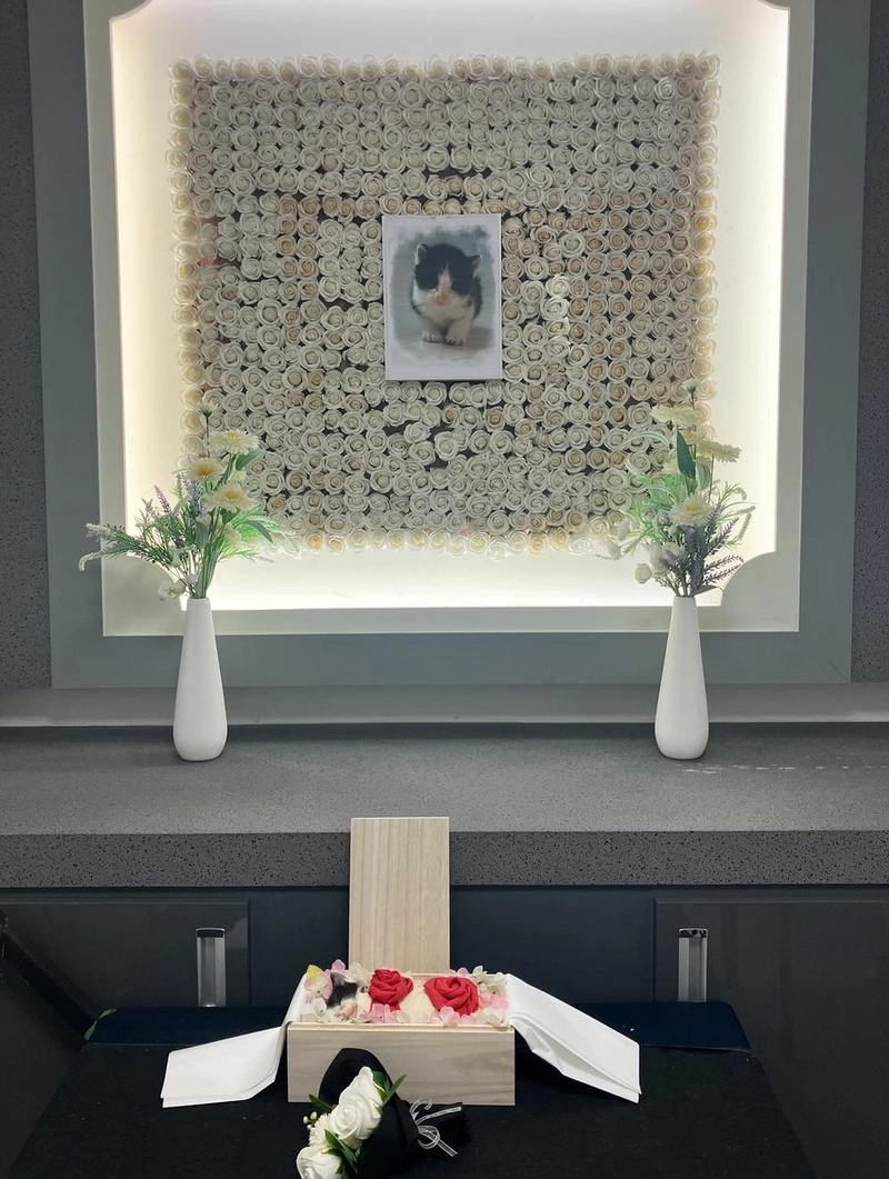“사랑해 스벅아”…이유나, 짧았던 인연→포근한 이별의 기록 / 걸그룹 브브걸 이유나 인스타그램