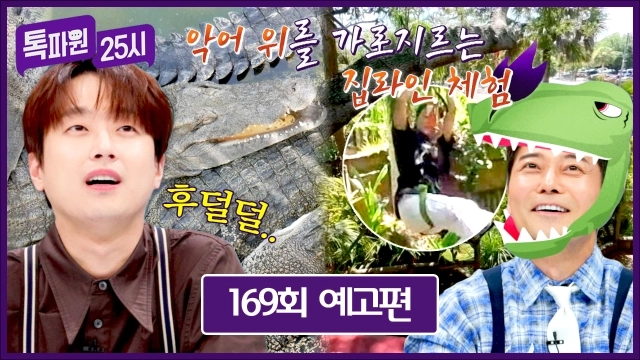 “악어 위 짜릿한 집라인”…톡파원25시 손준호, 플로리다·영국·이탈리아 여행기→일상에 유쾌한 충격 / JTBC