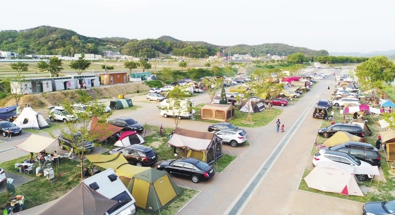 사지니 출처 = 평택 진위천유원지 업체 제공