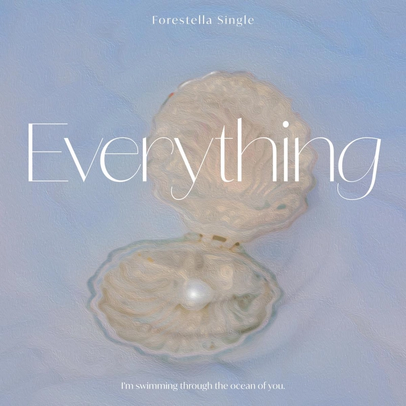 “포레스텔라표 사랑의 진수”…포레스텔라, ‘Everything’으로 로맨틱 팝 무드→전국투어까지 확장 / 비트인터렉티브