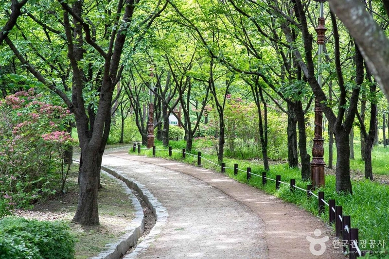 사진 출처 = 포토코리아(한국관광공사) 대전 한밭수목원