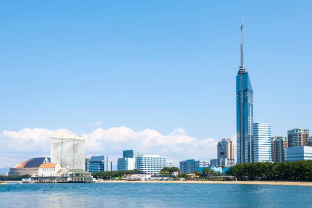사진 출처 = pixabay