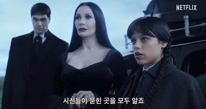 넷플릭스 공식 채널