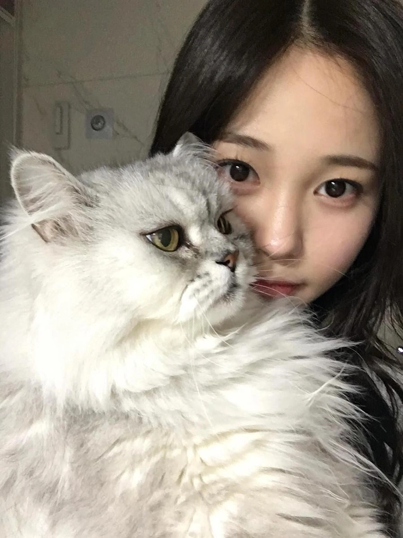 “빌려온 고양이가 된 순간”…한지효, 새벽 감성→따듯한 눈빛 나눔 / 걸그룹 위클리 한지효 인스타그램