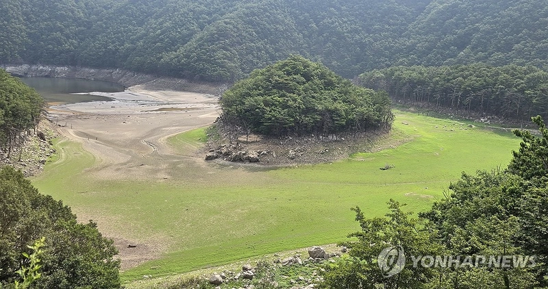 바닥 드러낸 강릉 식수원 오봉저수지 상류 / 연합뉴스