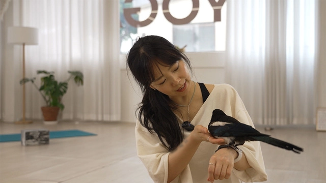 “등 잃은 고양이와 꿀벌의 집”…TV 동물농장 칙, 까까, 한여름 에피소드→감동의 여운