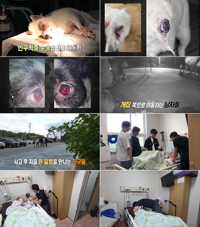 거제 반려견 비비탄 사건·원 일병의 침묵…‘실화탐사대’ 참혹한 현장→사회적 질문 남기다 / MBC