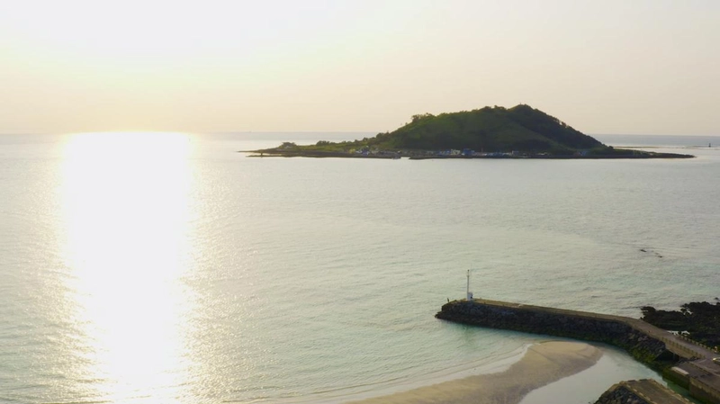“바다에 스민 제주 삶”…‘고향민국’ 해녀와 젊은 부부→섬의 매력에 물들다 / EBS