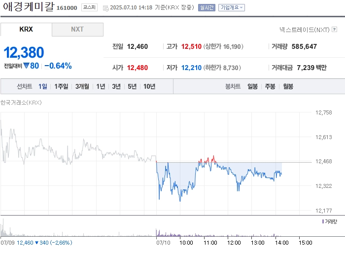 사진 출처 = 네이버페이증권