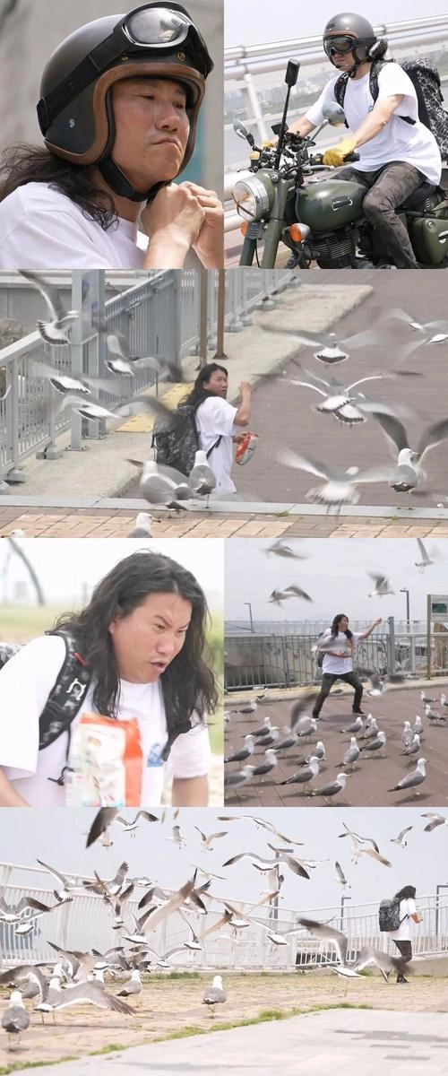 “임우일, 바닷가서 갈매기 떼와 추격전”…나 혼자 산다→즉흥 예능감 폭발