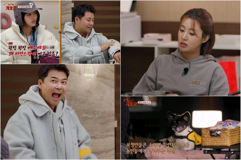 “보청견 구름이의 등장”…전현무·강소라, ‘집 나가면 개호강’서 선입견 깨졌다→시청자 감동 / JTBC