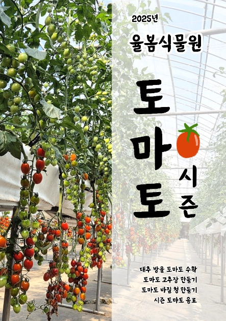 토마토 수확부터 바질 청 체험까지…‘율봄식물원 토마토 시즌’ 경기도 광주에서 열린다