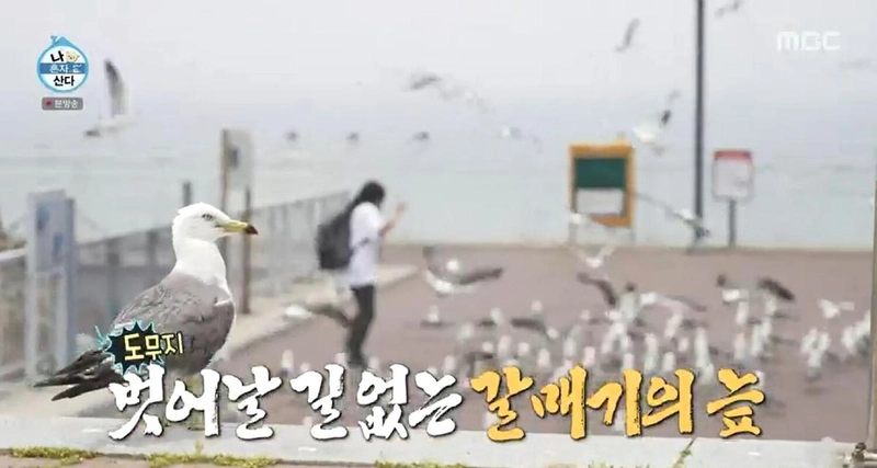 '나 혼자 산다' 방송화면 캡처