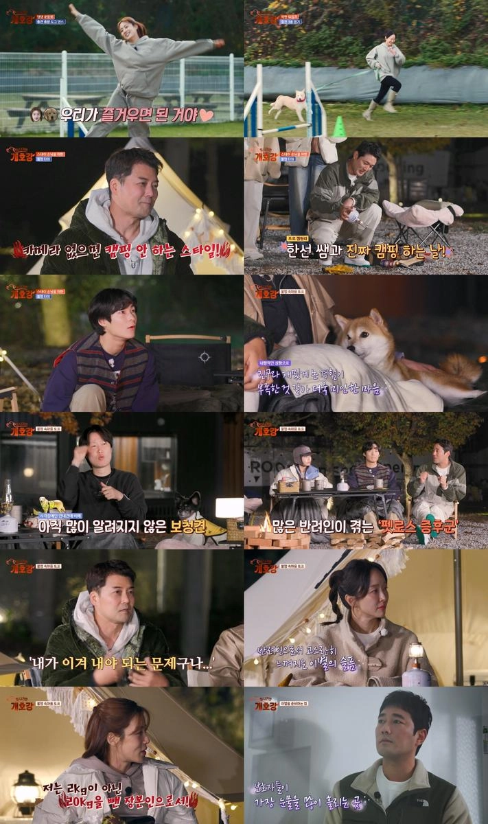 “강소라·레이, 반려견과 눈물”…‘집 나가면 개호강’ 속 치열한 운동회→추억이 된 이별 / JTBC