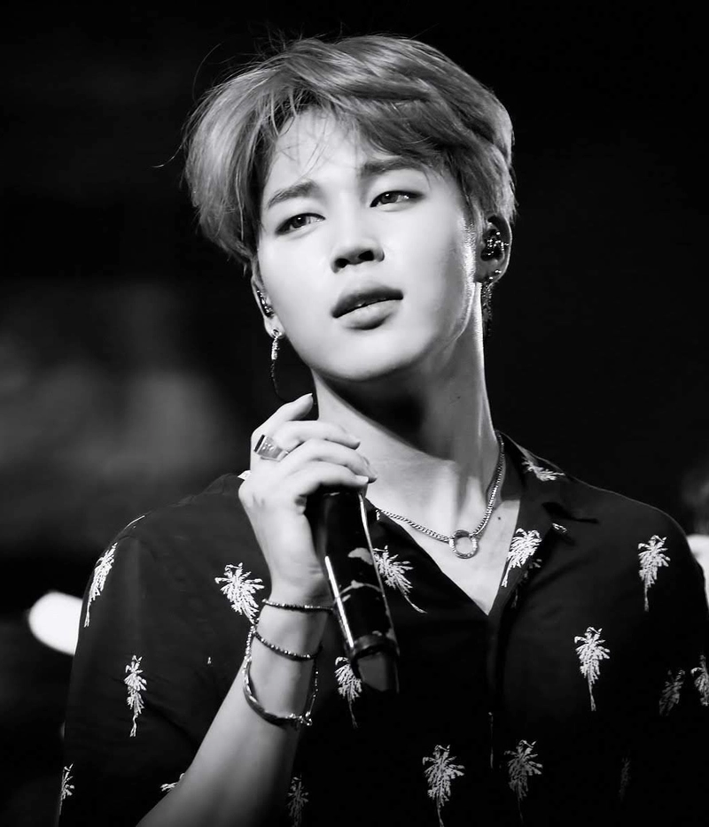 “방탄소년단 지민, ‘Who’로 美 스포티파이 최강 입증→K팝 최초 기록 세웠다”