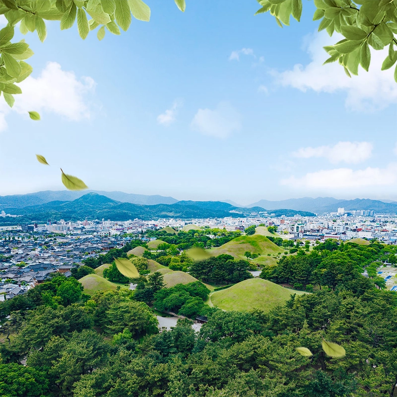 사진 출처 = 경주 대릉원 제공