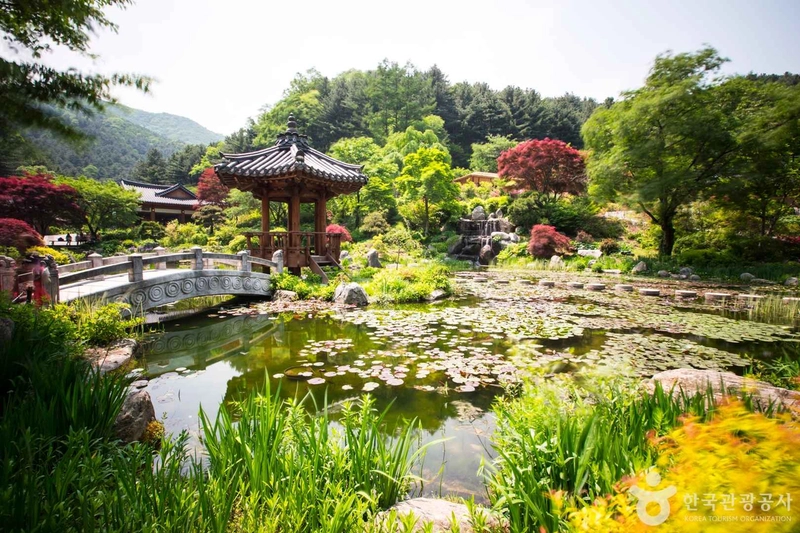 출처: 한국관광공사
