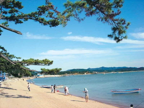 사진 출처 = 무안 톱머리해수욕장 제공