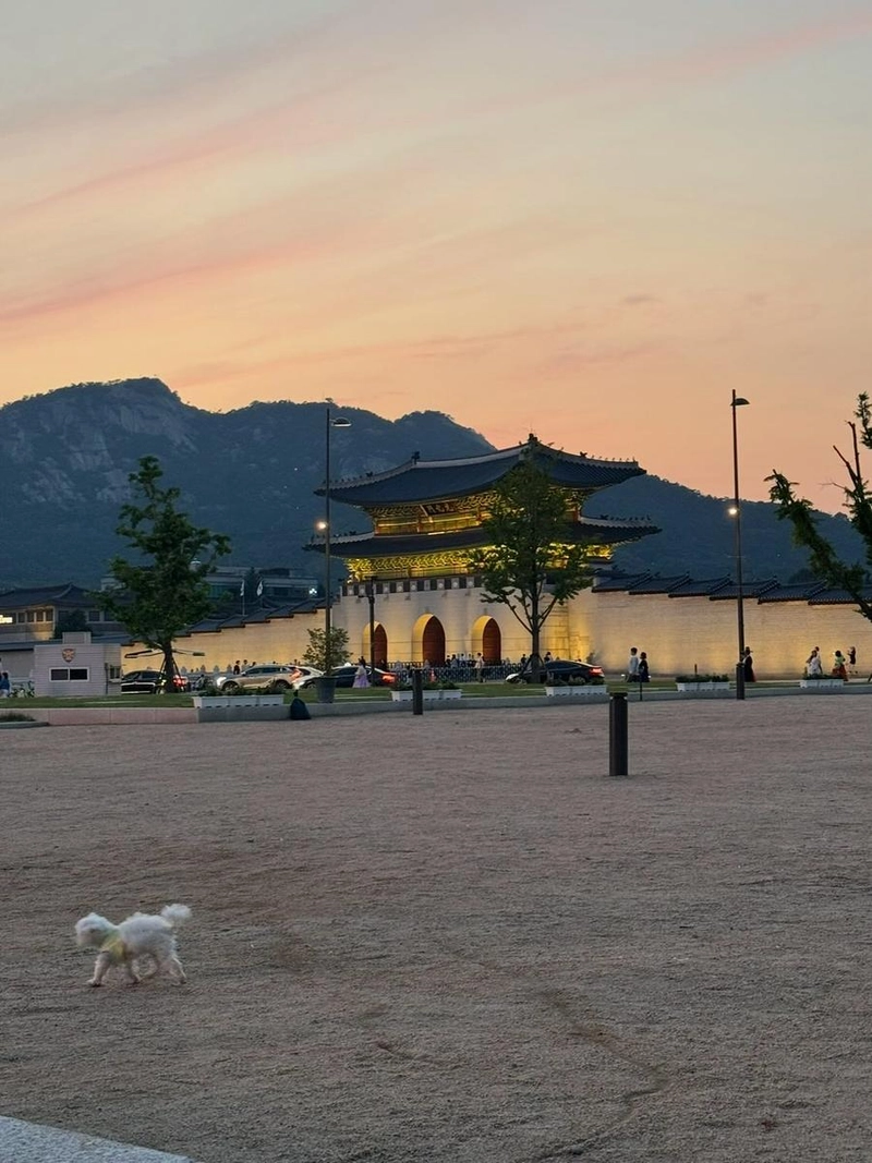 “예쁜 서울”…최예빈, 노을빛 담긴 순간→감성 산책 인증 / 배우 최예빈 인스타그램