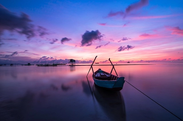 사진 출처 = pixabay