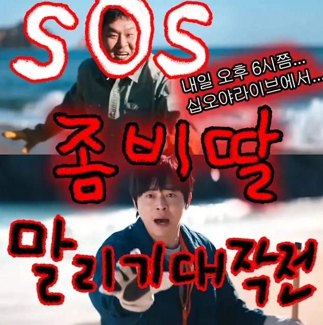 유튜브 '채널십오야'
