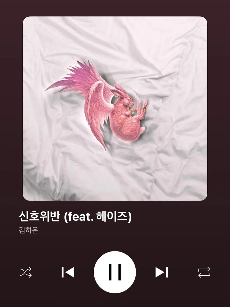 “여러분 신호를 잘 지키셔야 합니다”…헤이즈, 위트 속 단단함→신곡 참여 각인 / 가수 헤이즈 인스타그램