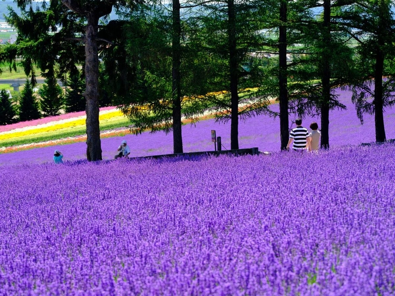 출처: visit-hokkaido