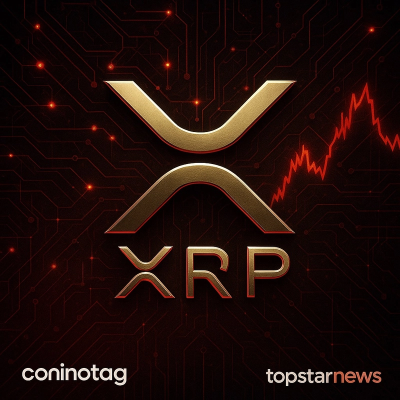 리플 XRP, 업비트 한국 투자자 매수에 급등…바이낸스는 순매도