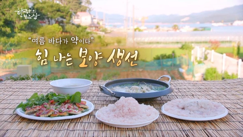 “여름 바다에 담긴 건강”…한국인의 밥상 최수종, 민어·농어·갯장어→삶의 지혜와 보양의 맛 / KBS