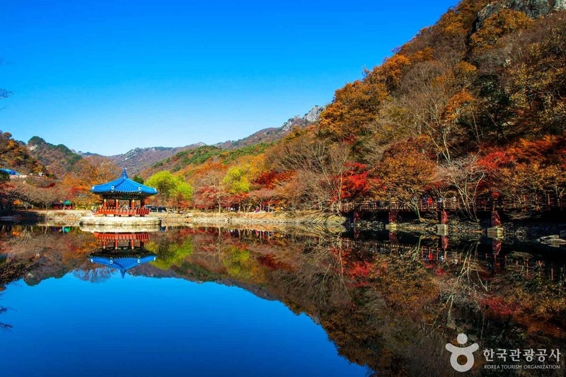 사진 출처 = 포토코리아(한국관광공사) 내장산국립공원