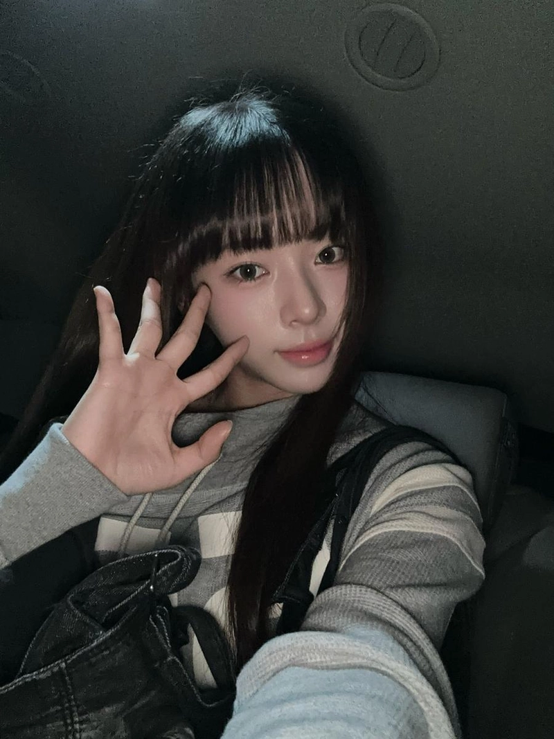 세이마이네임 공식 채널