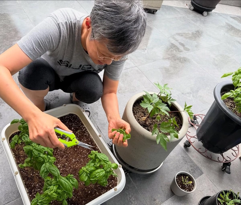 “조금씩 배우며 정성을”…이은미, 여름의 도시농부로 거듭난 오후 / 가수 이은미 인스타그램